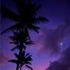 macaddict_808